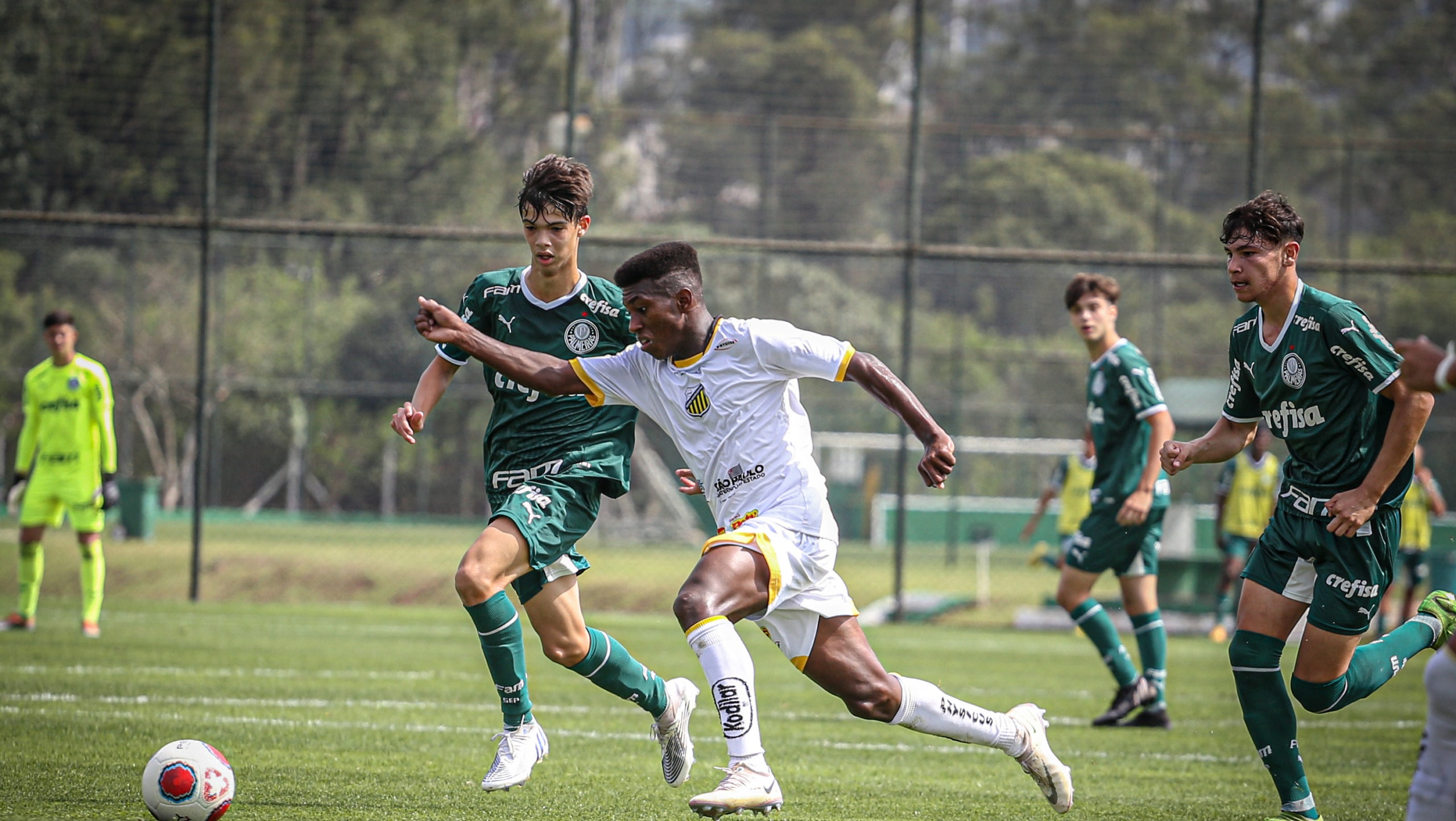 Palmeiras bate Novorizontino e é semifinalista do Paulista Sub-15