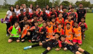 ARTIGO: Estrutura, metodologia e resultados – os pilares do Flapalmas no cenário nacional