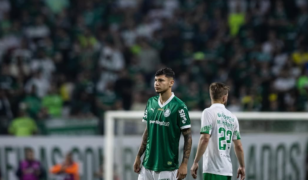 Quarteto da base inicia pré-temporada no profissional do Palmeiras