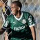 Avaí negocia empréstimo de destaque da base do Palmeiras