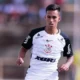 Líder, identificado com o clube e experiente, Pellegrin é destaque no sub-20 do Corinthians
