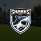Sharks FC chega ao futebol federado goiano com estrutura profissional e metas audaciosas